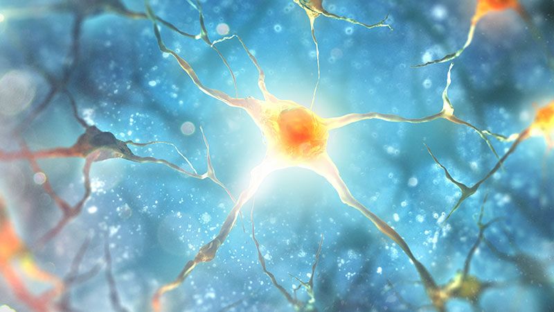 neurogener Darm im Koerper