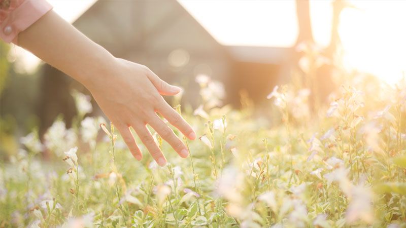 Hand in den Blumen